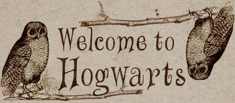 Hogwarts School – Energy 101